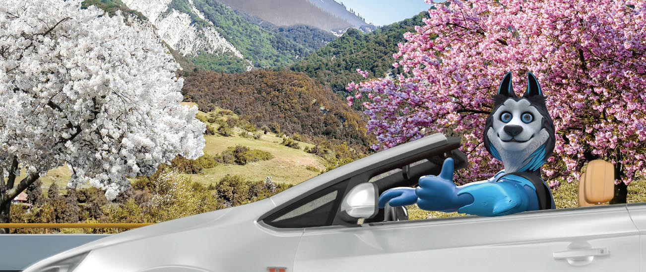 PAŞA Sığorta avtomobil sahibləri üçün “Yaz Fürsəti” hədiyyə kampaniyasına start verir