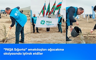 "PAŞA Sığorta" əməkdaşları ağacəkmə aksiyasında iştirak etdilər